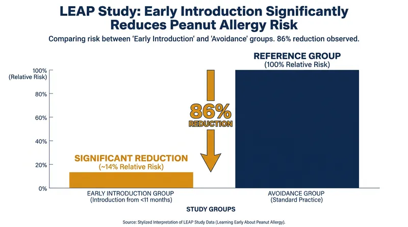 The landmark LEAP study proved that early introduction drastically reduces the risk of developing a peanut allergy.