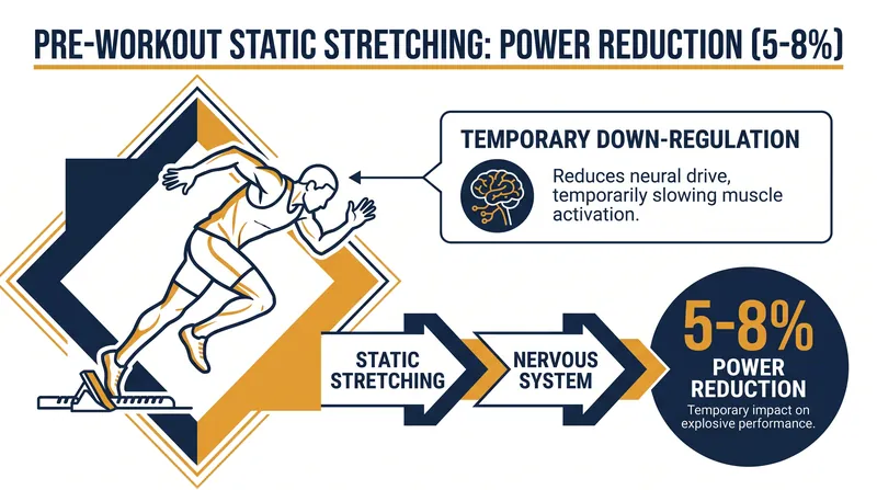 Research shows that holding static stretches before exercise temporarily down-regulates the nervous system, reducing explosive power.