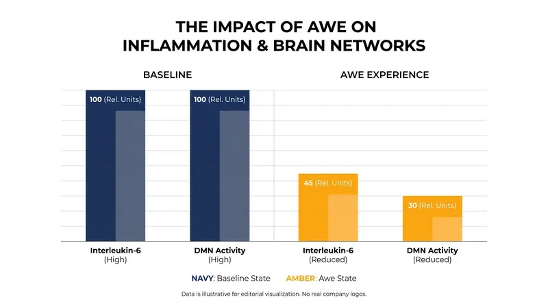 Awe is the most robust positive emotion for lowering systemic inflammation and quieting the brain's ego center.