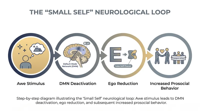 The 'Small Self' phenomenon explains how awe shrinks our personal concerns and increases our connection to others.