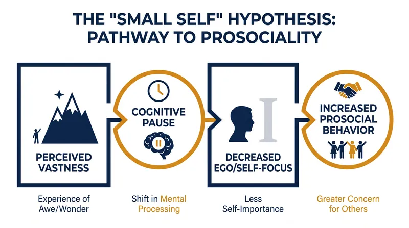 The psychological mechanism of the 'Small Self' hypothesis.