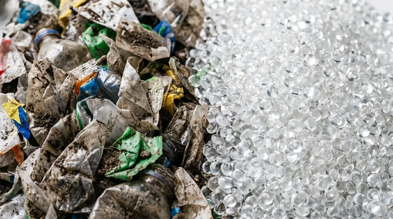 Because enzymes selectively target the plastic's molecular backbone, colorants and impurities are left behind, yielding virgin-quality clear plastic.