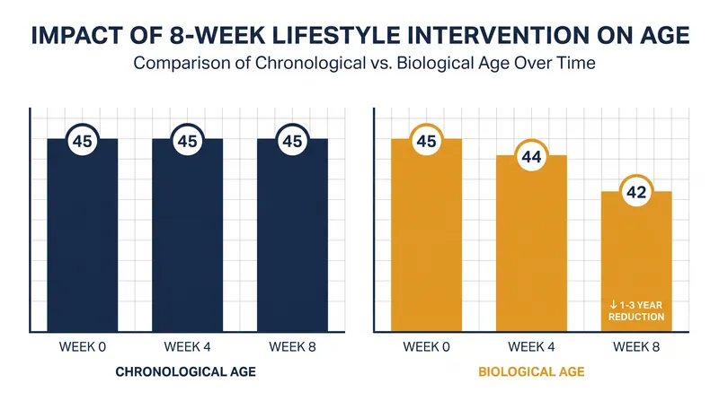 Recent trials suggest that intensive 8-week lifestyle interventions can reduce biological age by 1 to 3 years.