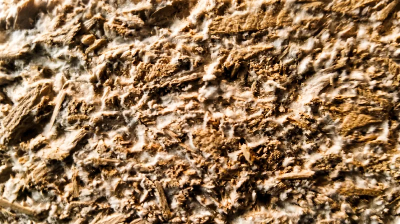 Once baked, the mycelium composite is entirely inert and features a soft, organic texture.