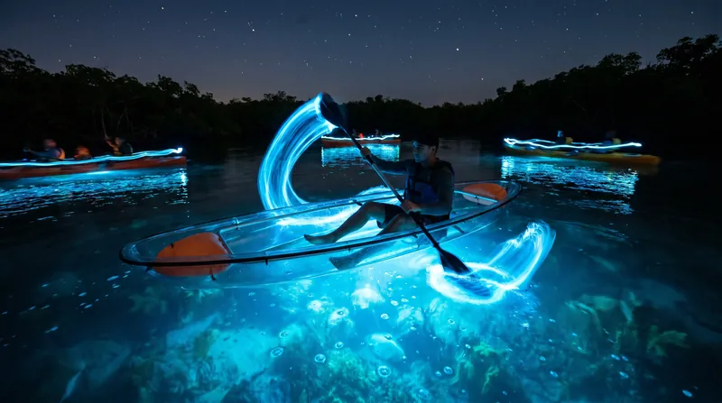 Kayaking through Puerto Rico's bioluminescent bays offers a close-up view of the glowing plankton.