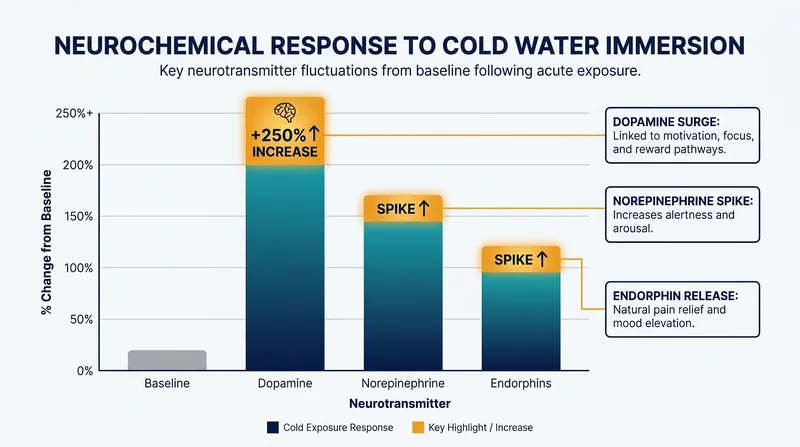 Cold water immersion triggers a massive release of mood-elevating neurotransmitters.