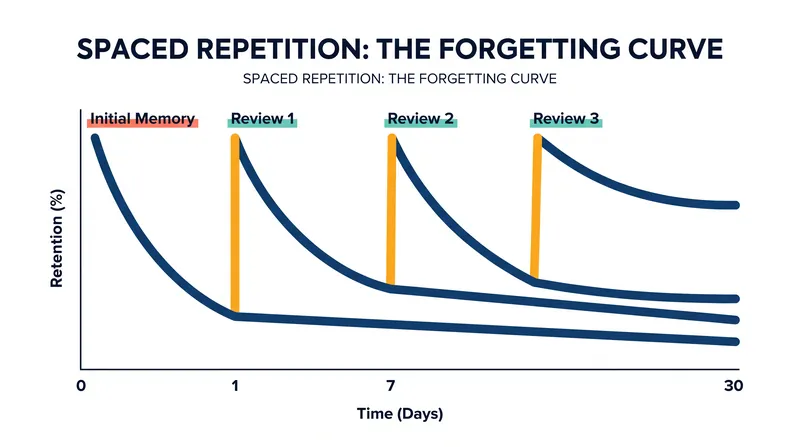 Interrupting the brain's natural forgetting curve at spaced intervals signals that the information is essential to retain.