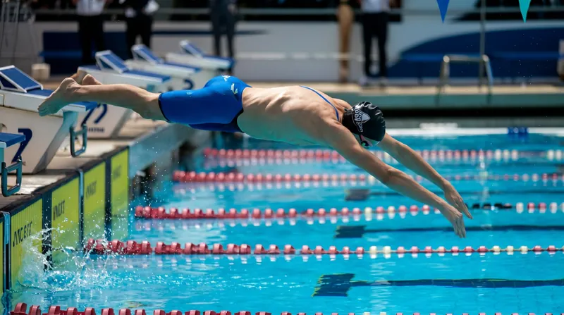 The NCAA transfer portal has created a fluid free-agency market for collegiate swimmers and divers.