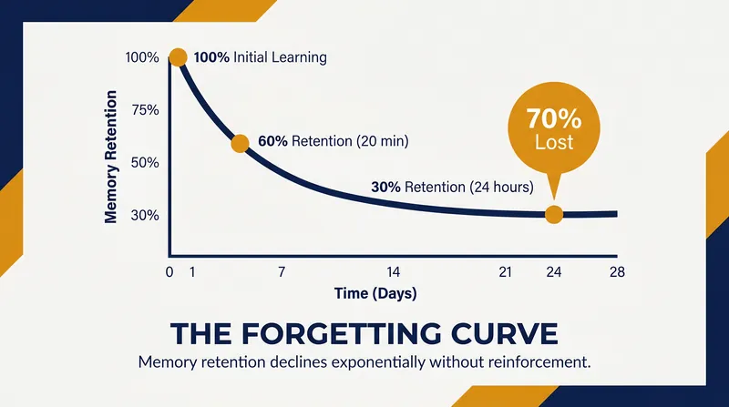 Without a structured system, the human brain loses roughly 70 percent of new information within 24 hours.