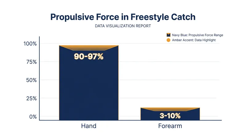 While the forearm acts as a paddle, the primary benefit of EVF is positioning the hand to catch water earlier.