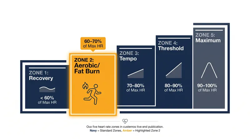 The five heart rate zones, with Zone 2 representing the optimal intensity for fat oxidation and mitochondrial growth.