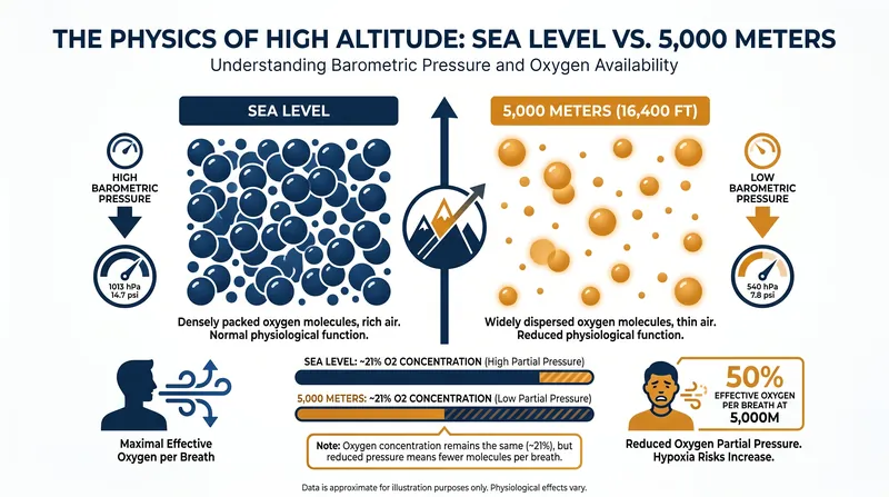 While the percentage of oxygen remains constant, dropping barometric pressure spreads molecules further apart.