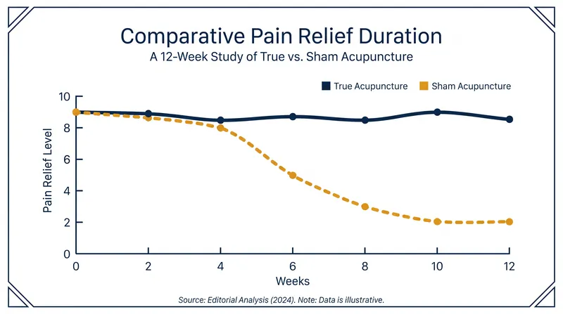 Recent studies show true acupuncture provides significantly longer-lasting relief than sham (placebo) treatments.