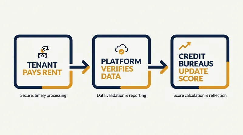 Third-party platforms bridge the gap between property management software and the major credit bureaus.