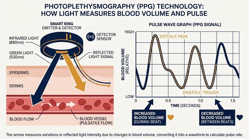 How it works: PPG sensors measure pulse wave velocity to estimate changes in blood pressure against arterial walls.