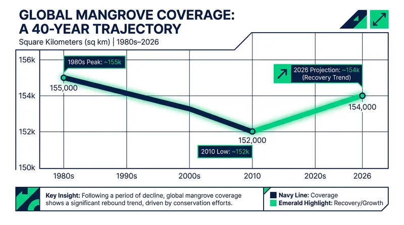 Satellite data reveals a sharp recovery in mangrove coverage since 2010.