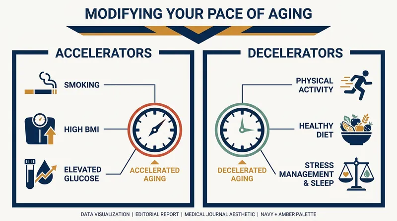 Longitudinal studies show that lifestyle factors directly influence the real-time pace of biological aging.