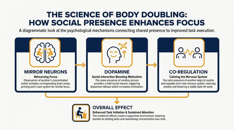 The effectiveness of body doubling is rooted in established neurological and psychological principles.