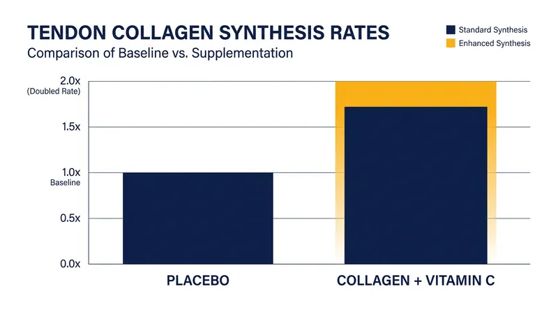 Clinical studies demonstrate that pre-exercise collagen and Vitamin C can double collagen synthesis markers.