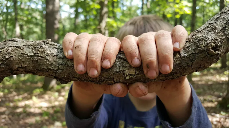 Engaging in manageable physical risks helps children learn to accurately assess danger.
