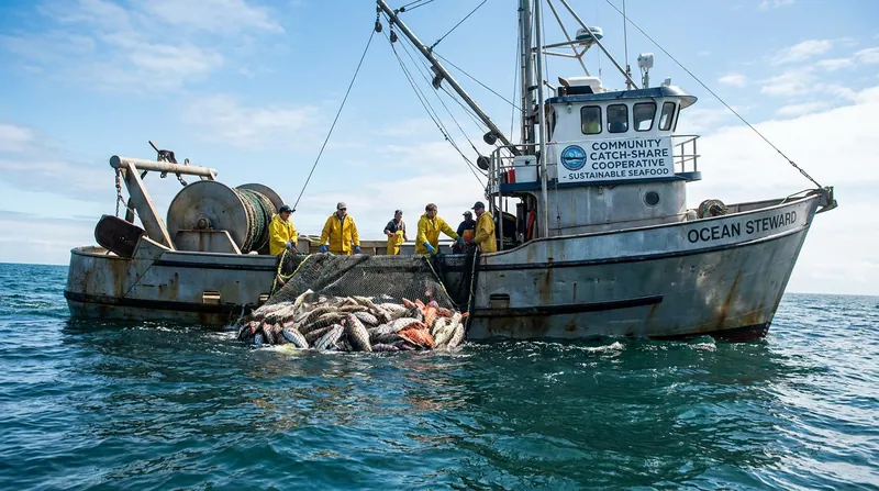 In marine fisheries, 'catch shares' have successfully aligned the financial interests of fishers with the long-term health of fish populations.