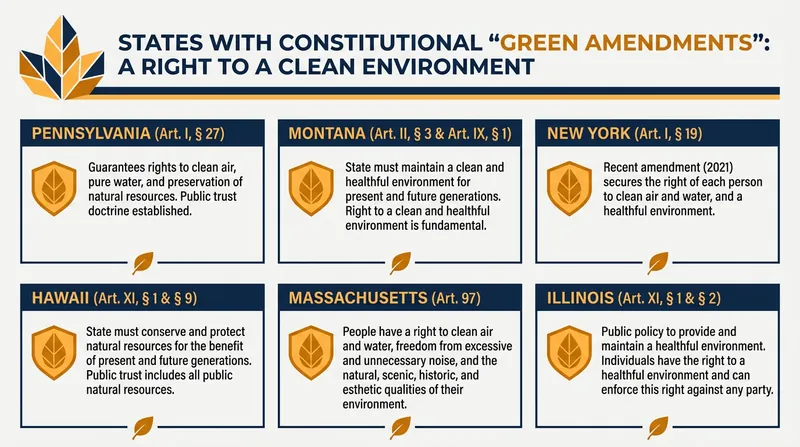 Six states have elevated environmental protections to the level of fundamental constitutional rights.