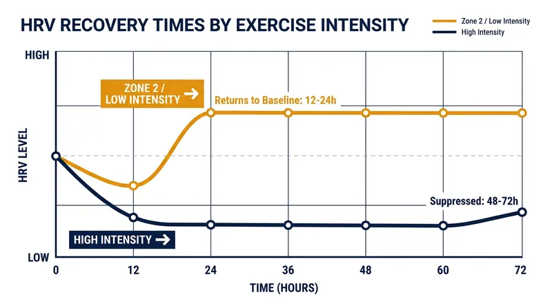 High-intensity exercise suppresses the nervous system significantly longer than steady-state cardio.