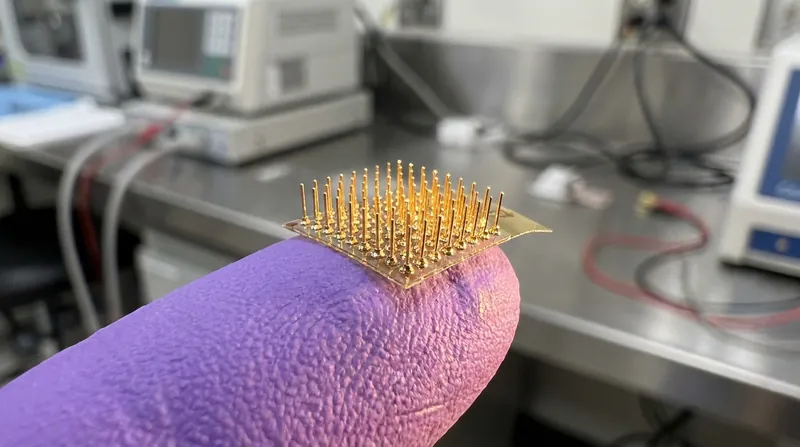 Microelectrode arrays, often containing just 32 tiny pins, are implanted directly into the brain's somatosensory cortex.