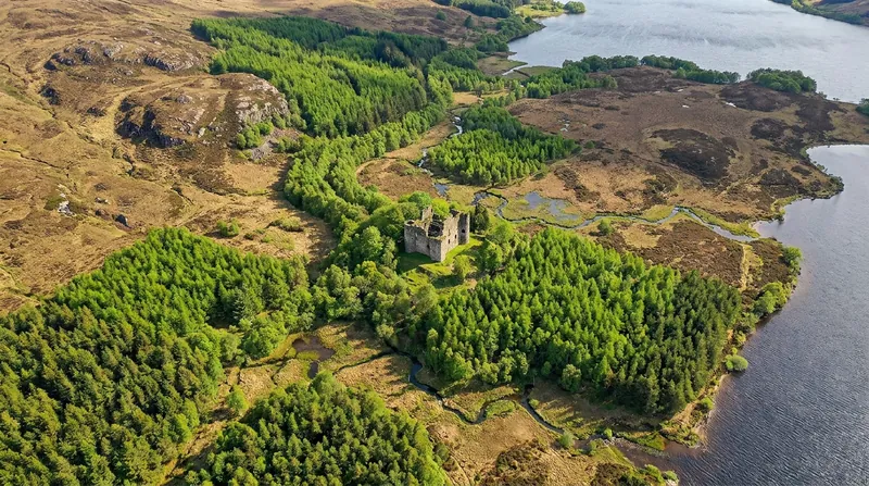 Rewilding projects in the Scottish Highlands are heavily supported by regenerative tourism.