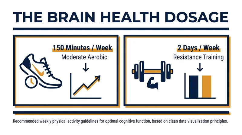 Current public health guidelines for maintaining cognitive and physical baseline health.