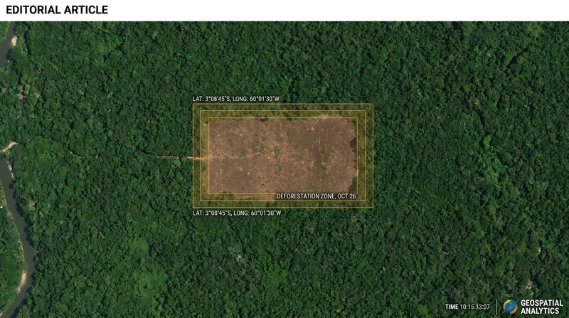 NGOs utilize geospatial intelligence to track illegal deforestation and hold corporate supply chains accountable.