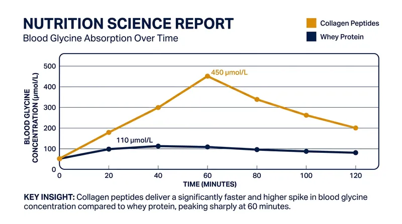 Collagen peptides create a significantly higher spike in the specific amino acids required for tendon repair compared to standard muscle proteins.