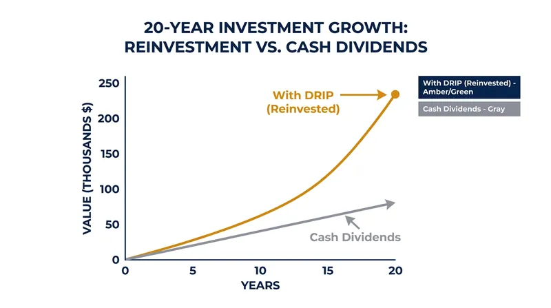 Reinvesting dividends through a DRIP triggers compound growth, significantly outpacing the return of taking dividends as cash.