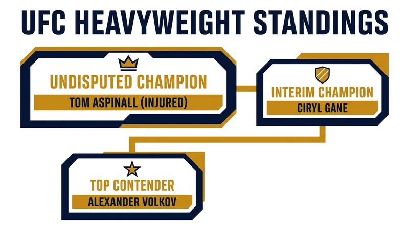 The top of the UFC heavyweight division following UFC Freedom 250.