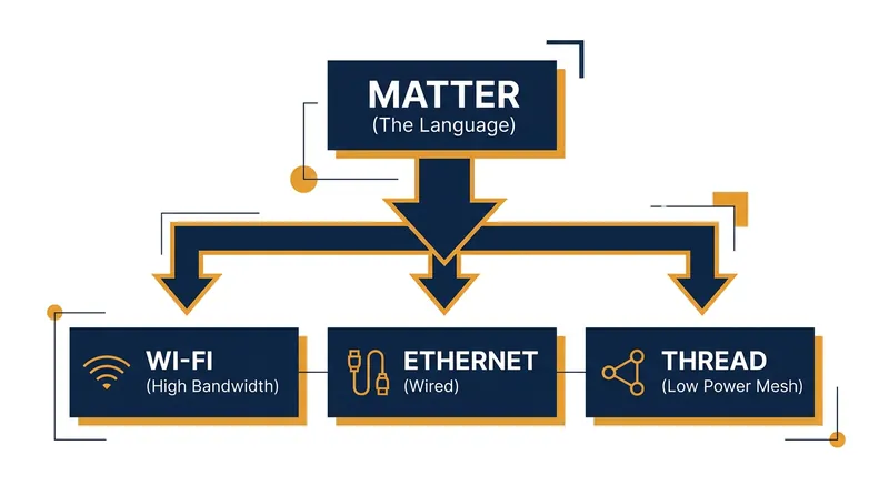 Matter acts as the universal language, while Wi-Fi, Ethernet, and Thread serve as the physical networks carrying the commands.