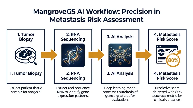 How the MangroveGS algorithm translates raw tumor data into actionable clinical predictions.