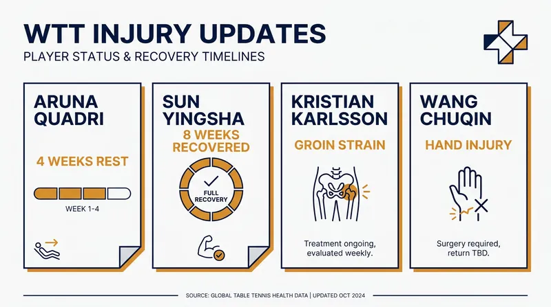 Recent injury timelines for top-ranked international players.