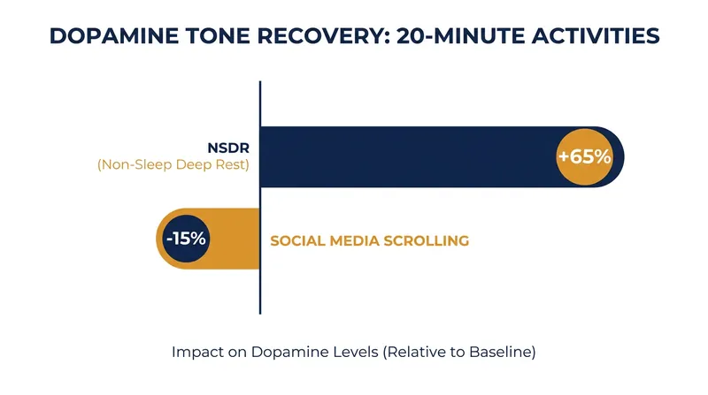 Studies indicate that deep waking rest significantly replenishes dopamine reserves in the basal ganglia.