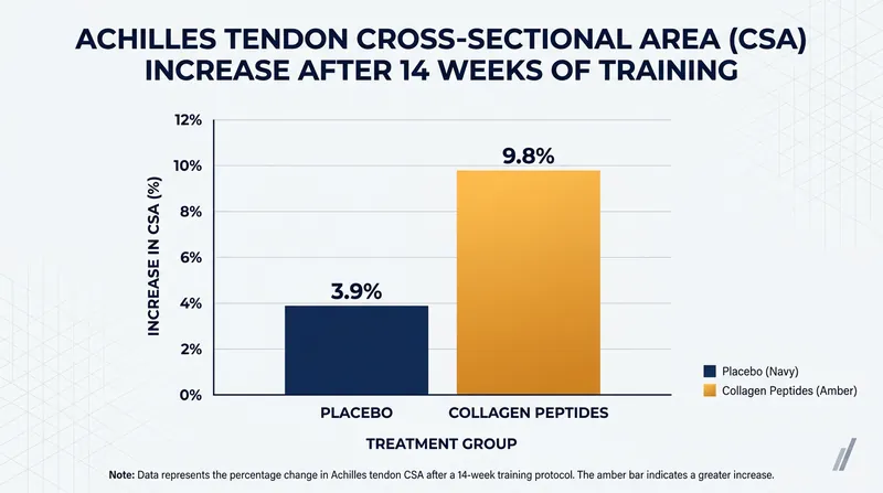 Athletes combining high-load resistance training with collagen peptides saw significantly greater tendon growth.