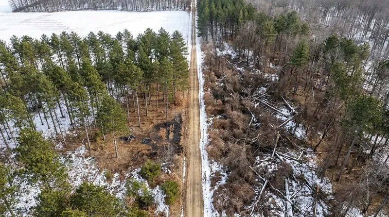 The 'halo effect' of a prescribed burn can protect adjacent, untreated lands from severe fire risk.