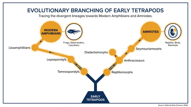 The tadpole stage is now believed to be a later evolutionary adaptation specific to modern amphibians.