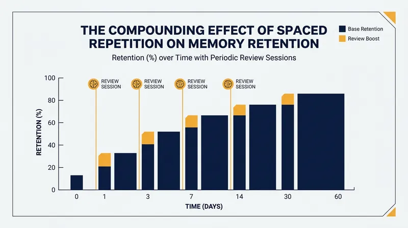 Spaced repetition leverages the brain's biological need for repeated signaling to build permanent pathways.