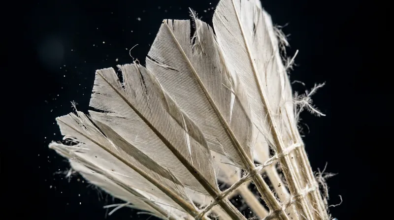 A traditional tournament shuttlecock requires exactly 16 feathers sourced from a single wing of a goose or duck.