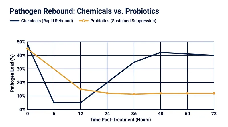 Clinical trials show that while chemical disinfectants offer an immediate kill, pathogens rapidly rebound. Probiotics maintain a consistently low bioburden.