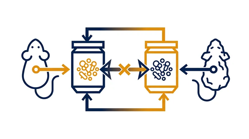 Researchers demonstrated that transferring an aged microbiome to a young mouse is sufficient to induce cognitive decline.