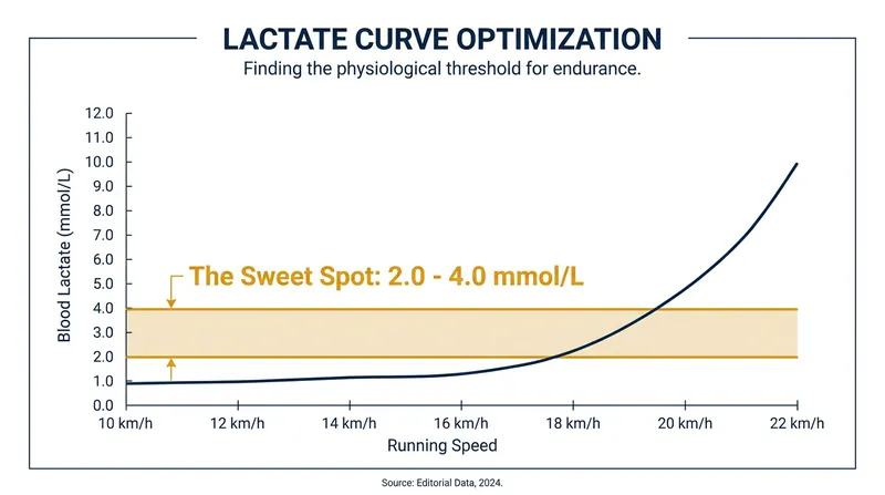 The goal of the Norwegian Method is to train extensively just before the body's lactate production spikes exponentially.