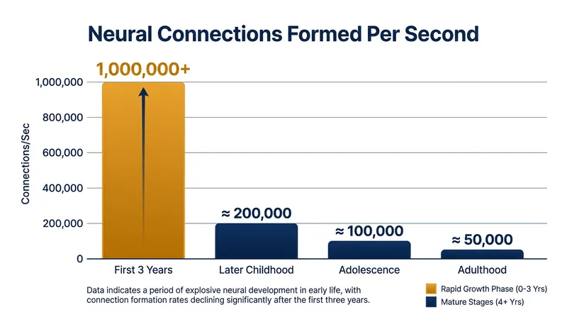 In the first three years of life, a child's brain forms up to one million new neural connections every second.