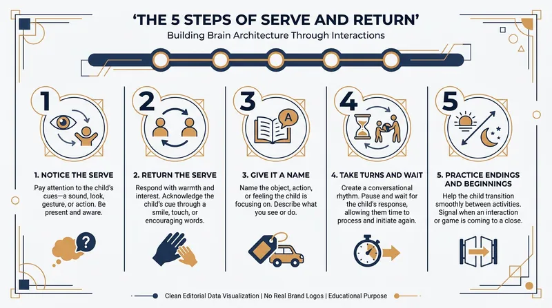 Harvard University's Center on the Developing Child outlines five concrete steps for practicing serve and return.
