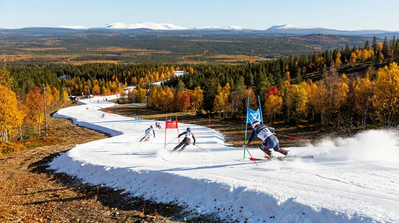 Farmed snow allows venues like Finland's Levi Resort to host World Cup races regardless of autumn weather.