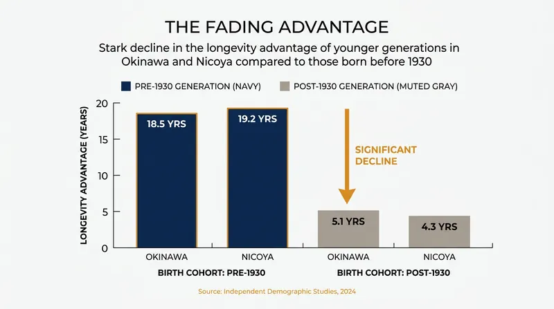 The decline of longevity in original Blue Zones due to modernization suggests the effect is driven by environment, not genetics.